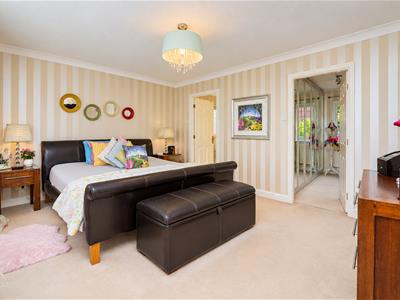 Picture 48